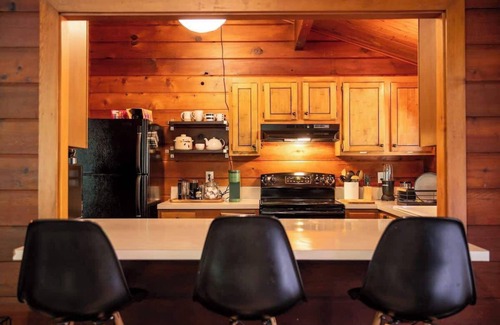 Rhododendron House | Mid-Century Cabin Hideaway - Hot Tub & Fire Pit