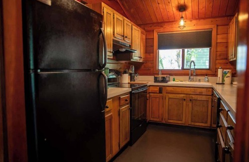 Rhododendron House | Mid-Century Cabin Hideaway - Hot Tub & Fire Pit