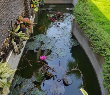 Chau Doc Hotel | Minh Kim Guesthouse