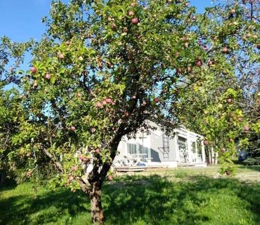 Imatra Apartment | Mini house Imatra with own garden