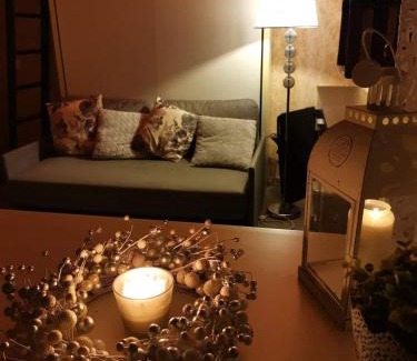 Imatra Apartment | Mini house Imatra with own garden