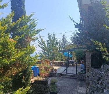 Sucici House | Mir u prirodi