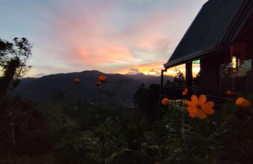 Ella Cabin | Miracle view Ella