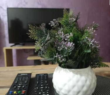 Sombor Apartment | Mirna R&N