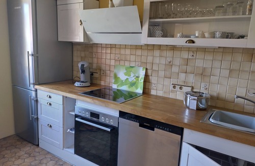 Traben-Trarbach Apartment | Mitten im Zentrum von Traben in ruhiger Seitenstraße, mit eigenem Garten