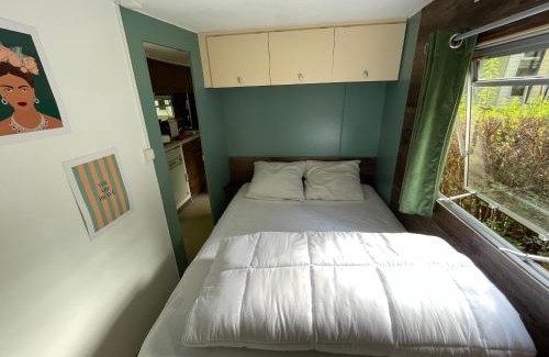 Tourtoirac Other | Mobile home dans camping nature