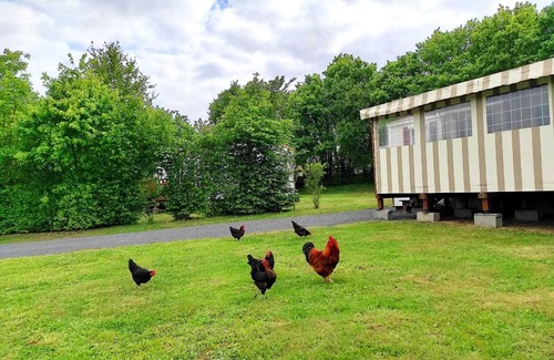 Maulevrier House | Mobile home near the Puy du Fou !