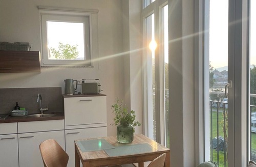 Miltenberg Apartment | Modern apartment (32 sqm) with fully equipped kitchen and XL shower