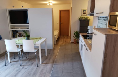 Winden im Elztal Apartment | Modern apartment in the second valley - Oberwinden - Elztal