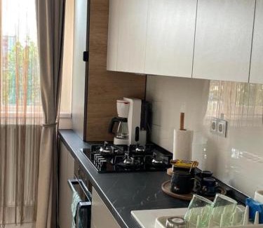 Tecuci Apartment | Modern Apartment
