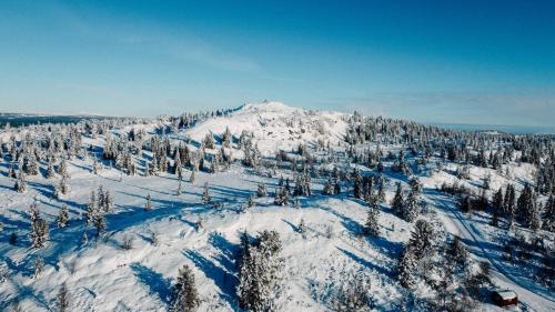 Gol Municipality House | Modern Mountain Cabin - Sauna - 5 Bedrooms - Sleeps for 10