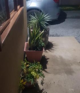 Francistown Apartment | Modern & Secure Home in the Heart of Francistown