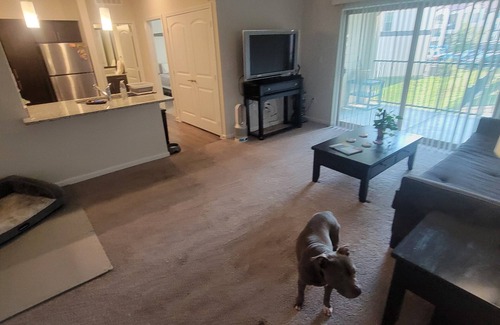 McNeil Apartment | Modest 1 Bedroom 1 Bathroom Apartment on the 2nd floor. Wi-Fi and Cable included