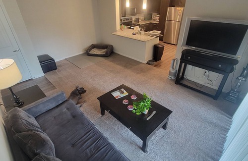 McNeil Apartment | Modest 1 Bedroom 1 Bathroom Apartment on the 2nd floor. Wi-Fi and Cable included