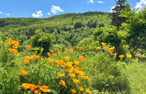 Alboussiere Bed & Breakfast | Molinot Gîtes Nature & Confort