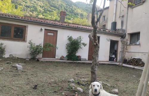 Quartiere XXIV Don Bosco Apartment | Molise Garden Apartments Renato