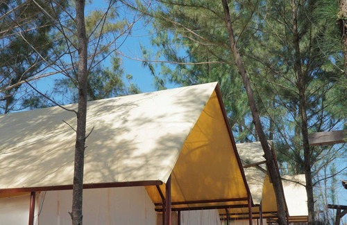 Xuyen Moc RV Rental | Mongolia tent Amazing Camping Vivu24h