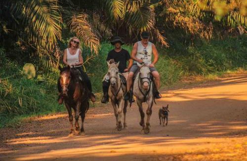 Jaco House | Monkey Beach Oasis