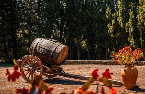 Castiglioncello House | MONOLOCALE CASENUOVE con GIARDINO