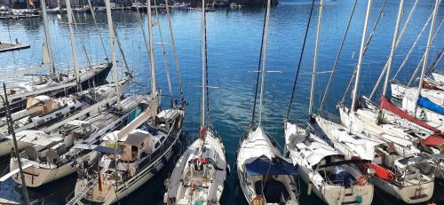 Portoferraio Old Town Apartment | Monolocale La Darsena