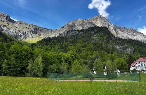 Plateau-d'Assy Apartment | Mont Blanc view on a 40m2 Terrace