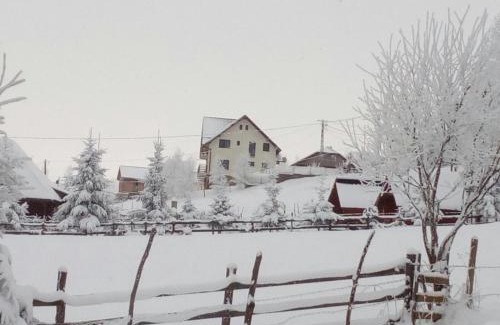 Sirnea House | MonteCrai