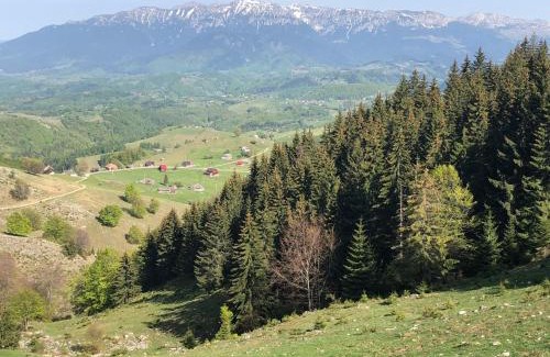 Sirnea House | MonteCrai