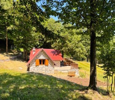 Cetinje Ski Chalet | Montenegro Rustic House II