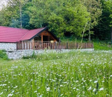 Cetinje Ski Chalet | Montenegro Rustic House II