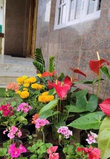 Mahadevpet Bed & Breakfast | Moon Glade Cottage, Homestay Coorg, Madikeri