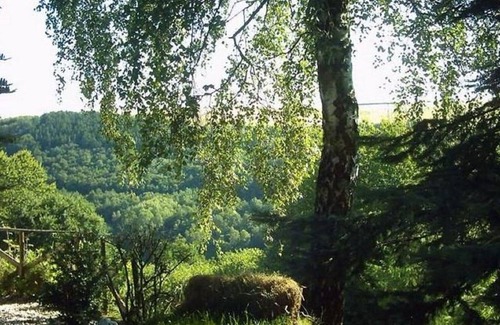 Morscheid-Riedenburg Villa | Morbach Hillside Mansion