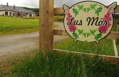 Roundwood House | Motel ∙ 8 guests
