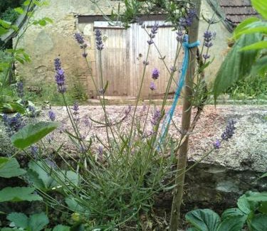 Le Veurdre Bed & Breakfast | Moulin Barrat