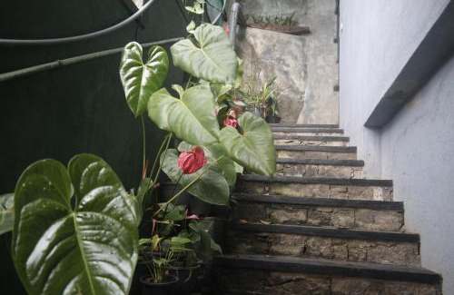 Primrose Apartment | Mount view hotel and home stay