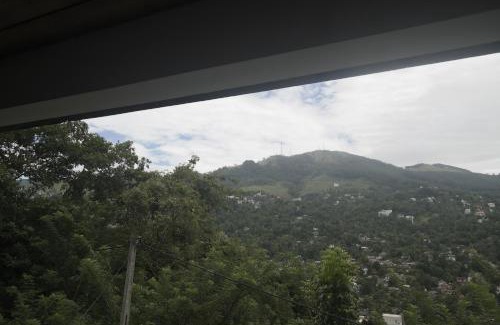 Primrose Apartment | Mount view hotel and home stay