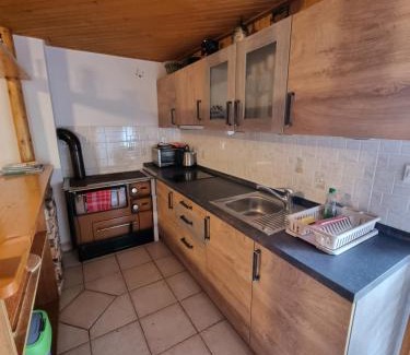 Studor House | Mountain apartment Uskovnica