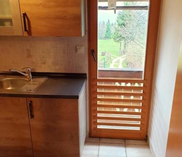 Studor House | Mountain apartment Uskovnica