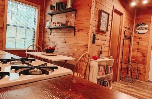 Morganton Cabin | Mountain Cabin with creek and hiking trail! Minutes from Blue Ridge
