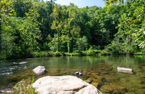 Robbinsville Apartment | Mountain Haven Dragon's Nest Cabin