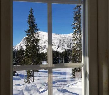 Fla Municipality House | Mountain Home At Haglebu With Activities