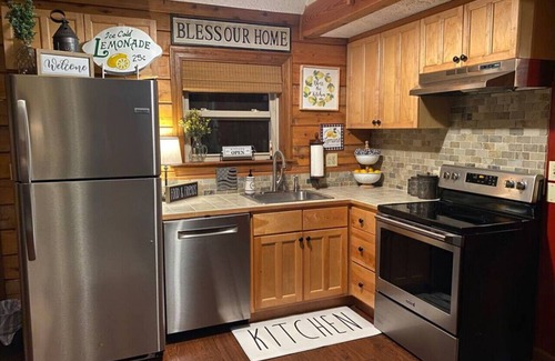 Piper Gap Cabin | Mountain Song Log Cabin/Starlink Wifi, Trout Stream🐟, Near I-77 & BR Parkway🌄