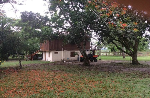 Billy White Apartment | Mountain View; Decks; Swim; Exotic Wildlife; Coconuts, Limes, Hiking; Pets OK