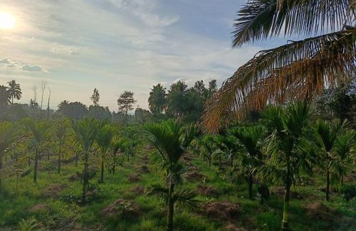 Piriyapatna House | Mountain View Farm