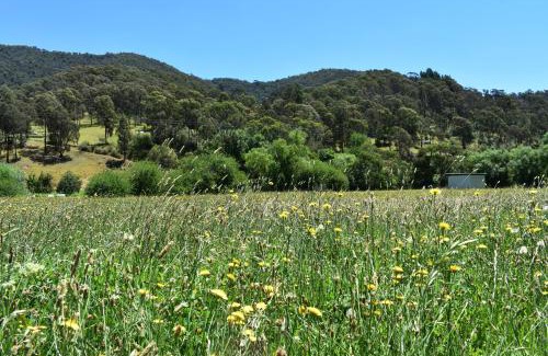 Corryong Hotel | Mountain View Motel