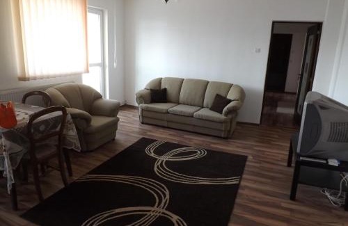 Campulung Apartment | Mountain View