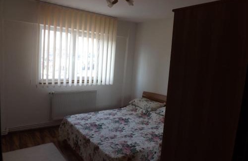 Campulung Apartment | Mountain View