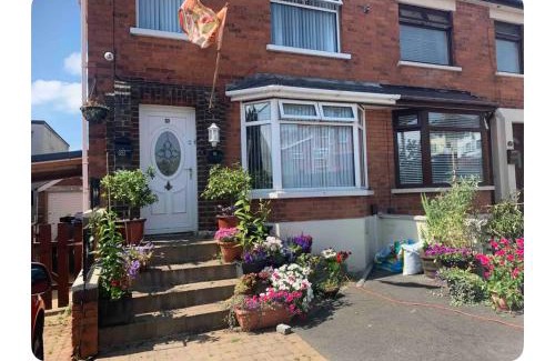 Belfast House | Mournview