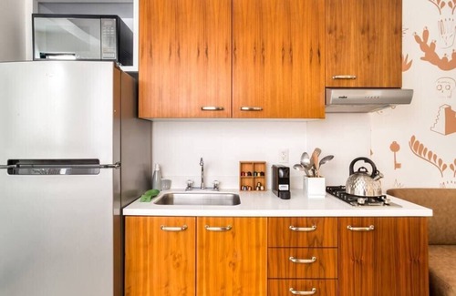 Zona Rosa Apartment | Mr. W | Spacious 1Br, great location Juarez