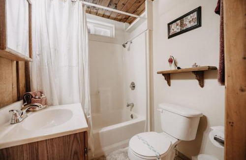 Maple Falls Apartment | Mt Baker Apt, Pets OK, WIFI and AC