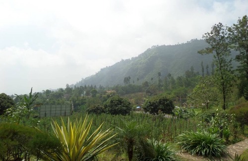Sukapura House | Mugi Guesthouse near Mt. Bromo